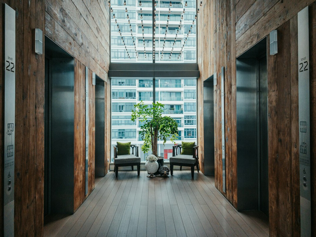 Bright modern open-plan office interior with wooden furniture and plants